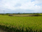 P1000835.JPG