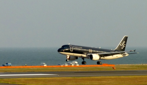 P1010316.JPG