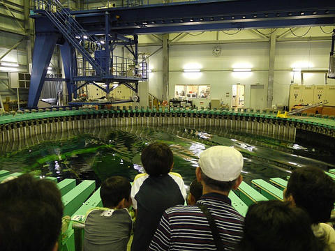 P1040884r.jpg