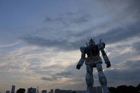 ｶﾞﾝﾀﾞｰﾑ