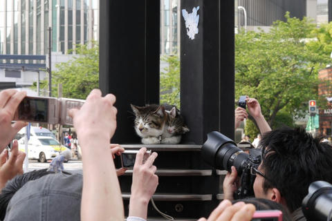 柳まつり