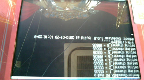 20100318_D.JPG