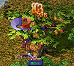 8.PNG
