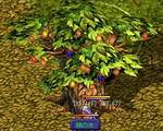 9.PNG