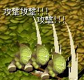 13.PNG
