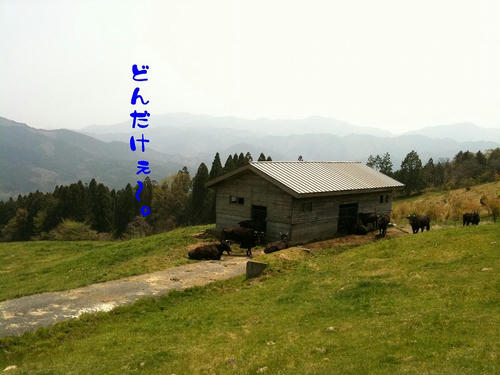a365498f.jpg