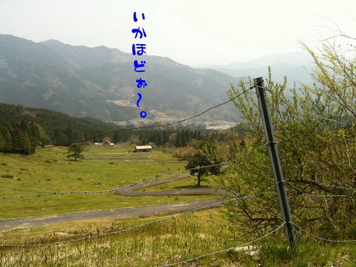 6896ca65.jpg