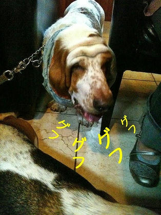 540f4260.jpeg