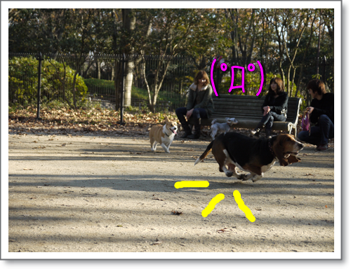 P1010770.png