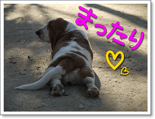 P1010806.png