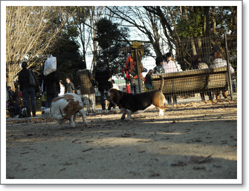 P1010849.png