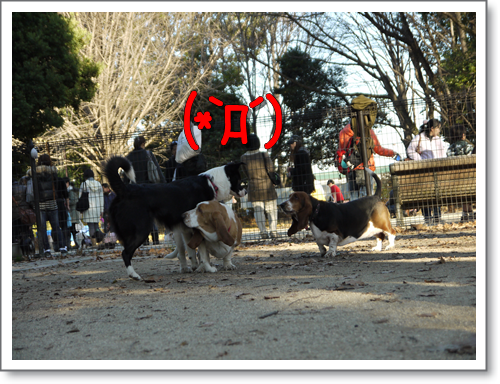 P1010851.png