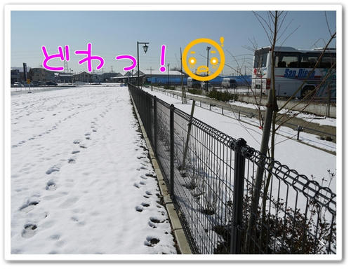 P1050049.JPG