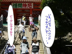 P1080518.JPG