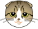 ten-chan-ani.gif