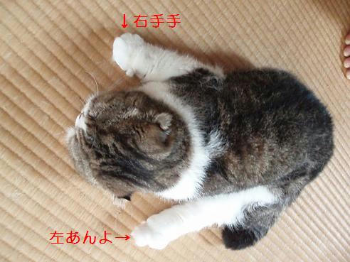 P7110008.JPG