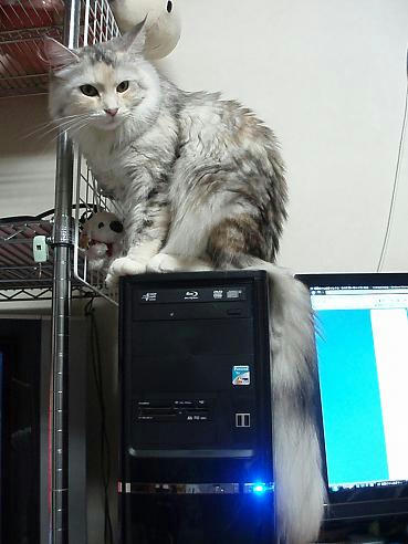 PC260026.JPG