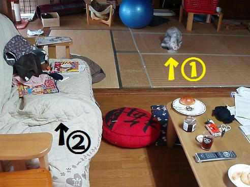 a2349d54.jpeg