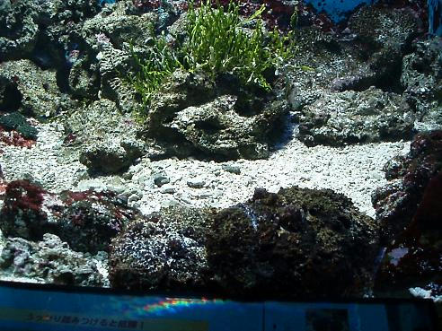 P8130019.JPG