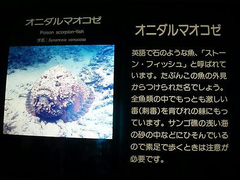 P8130020.JPG