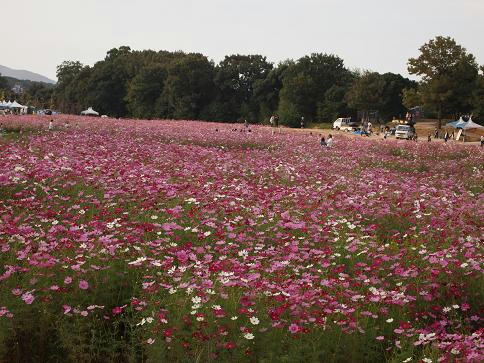 PA110587.JPG