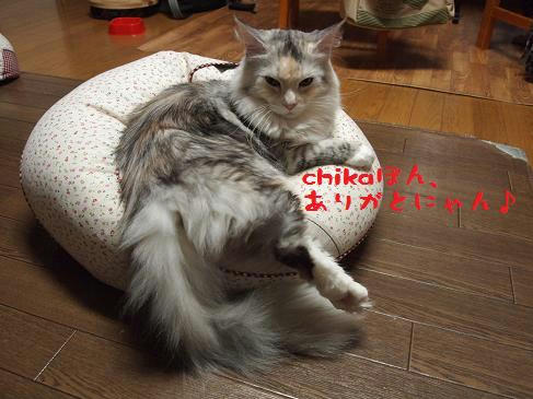d2603ab2.jpeg