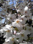 Image044.jpg