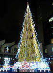 CA330861.JPG