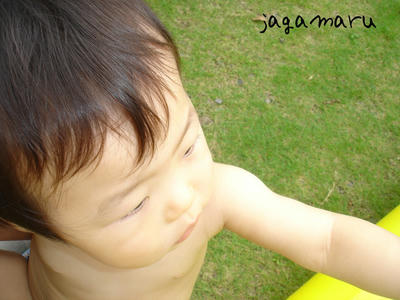 f85be14a.jpg