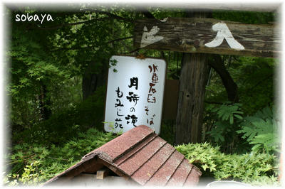 IMG_0886.jpg