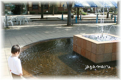 IMG_1763.jpg
