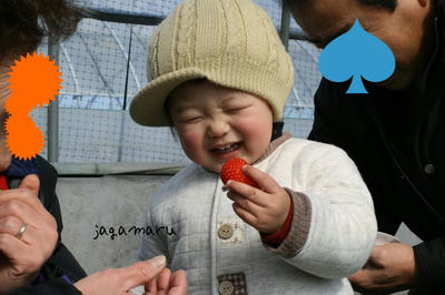 IMG_2747.jpg