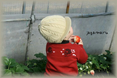 IMG_2753.jpg