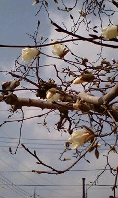 d1b44404jpeg