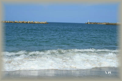 IMG_3775.jpg