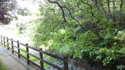 100718a.jpg