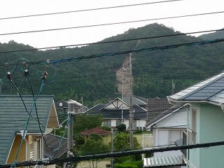 image8851585.jpg