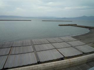 P1000938.jpg