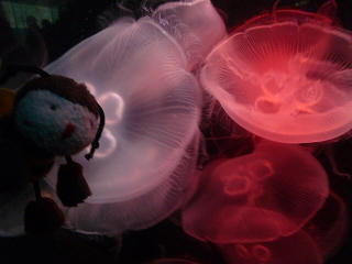 P1010173.jpg