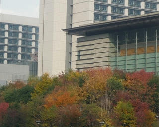 P1010357.jpg
