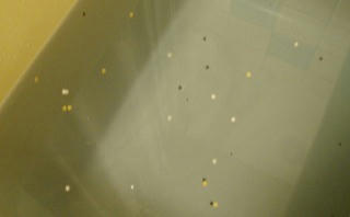 image3796195.jpg
