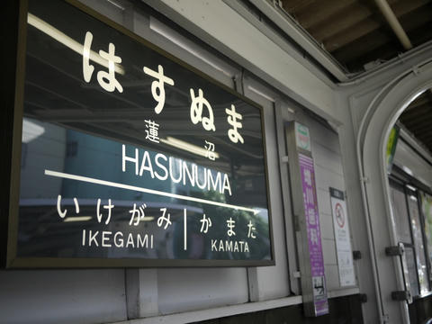 蓮沼