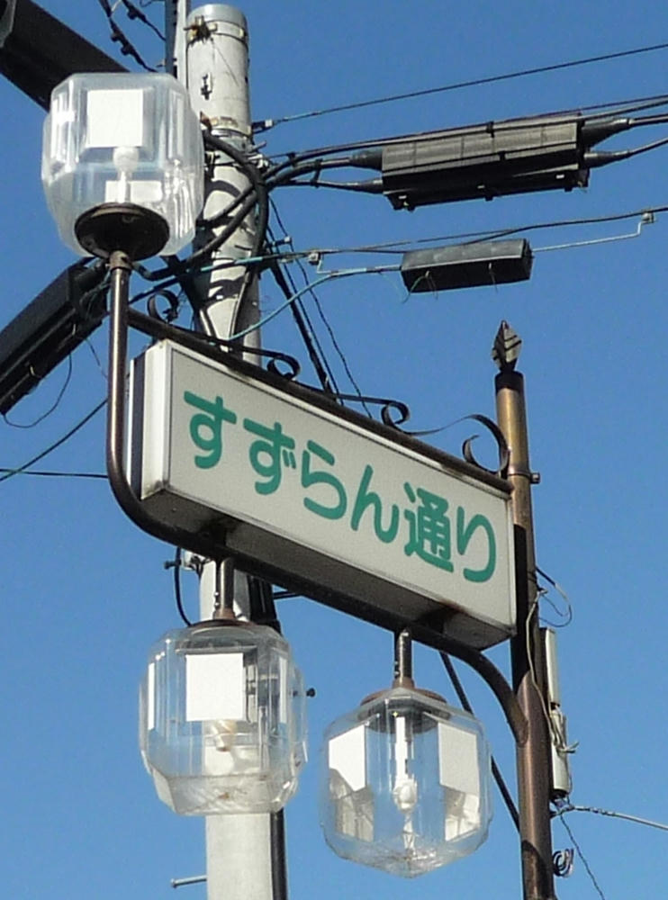 suzu1.jpg