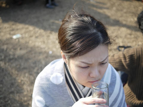 P1010342.jpg