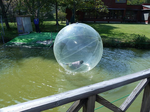 P1020395.jpg