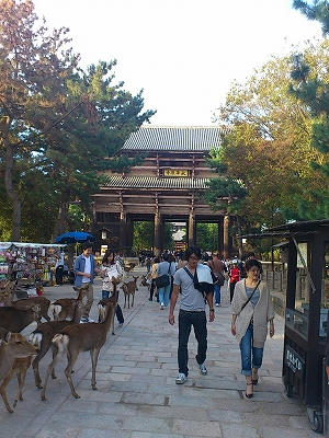 東大寺の鹿