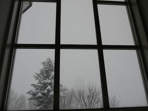 P1030022.jpg