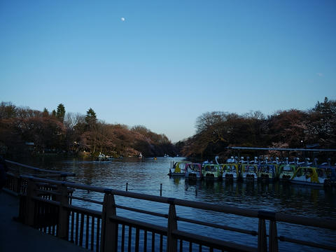 井の頭公園