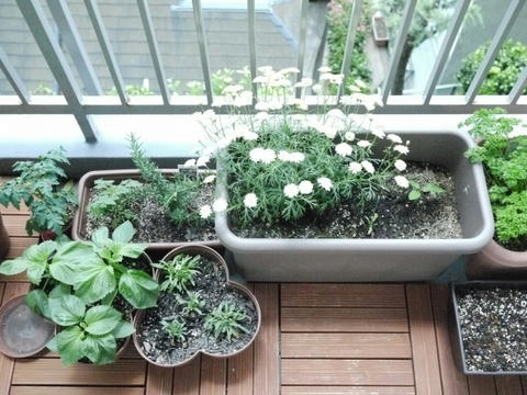 ベランダ