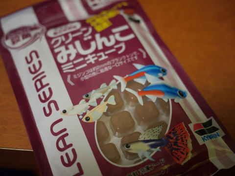 P1040338.jpg